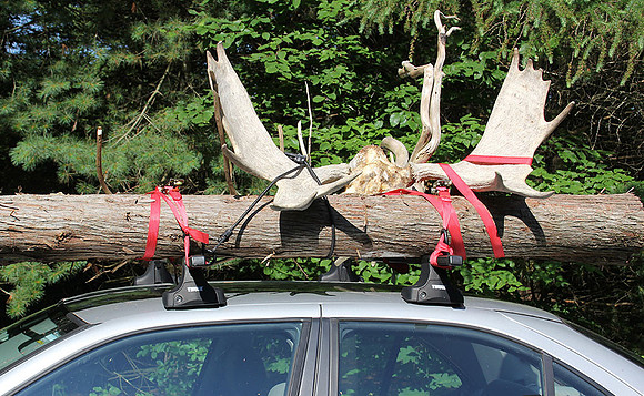 Antlersoncar